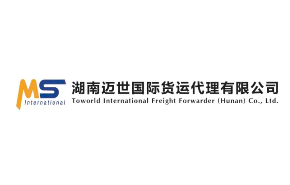 湖南迈世国际货运代理有限公司