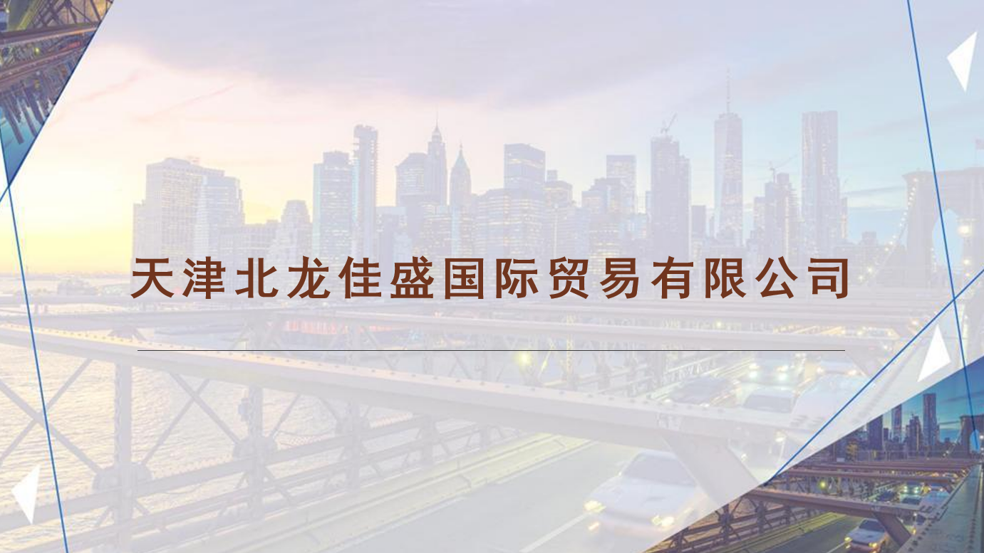 天津北龙佳盛国际贸易有限公司