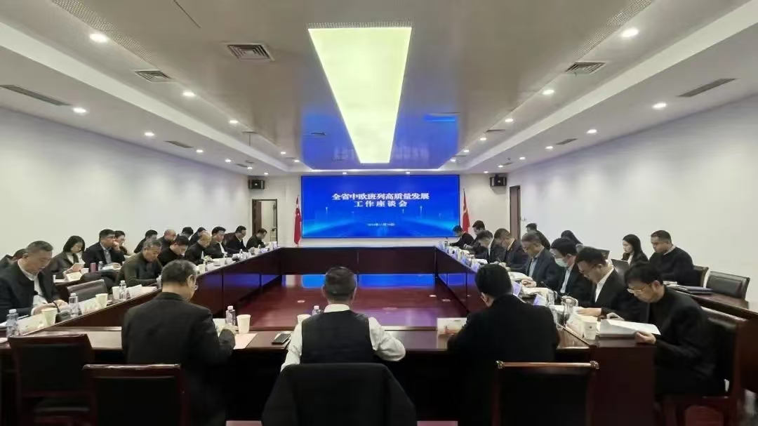 江苏召开全省中欧班列高质量发展工作座谈会