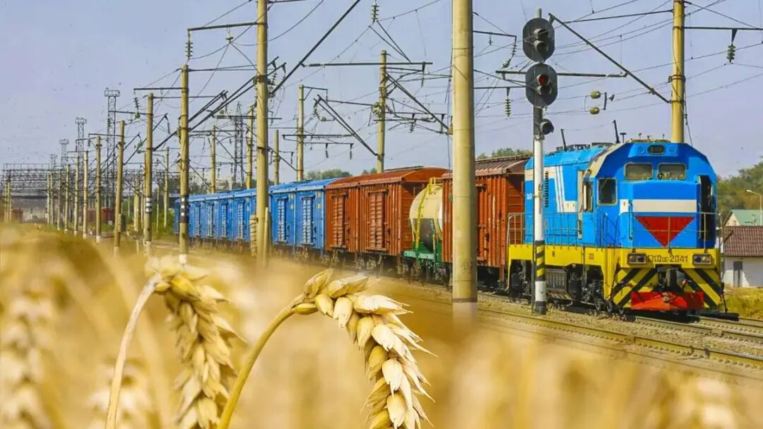 国际动态 | 哈萨克斯坦运输能力概况、出口新粮200万吨、对华粮食出口转向复合饲料...