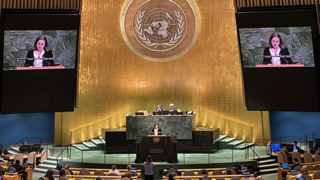 最新消息！联合国大会通过《联合国可转让货物单证公约》